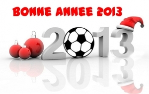 Meilleurs Voeux 2013
