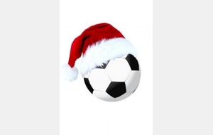 Bonnes Fêtes de Noël !!!