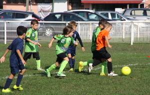 Plateau U8/U9 au PAU FC - samedi 03 octobre 2015